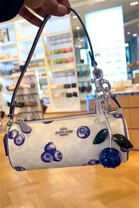 coach fruit collection 2024 blueberry.